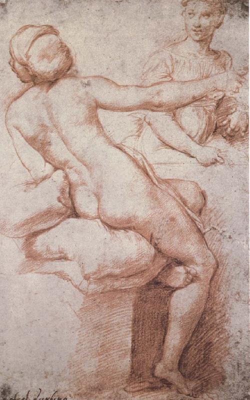 RAFFAELLO Sanzio Naked girl